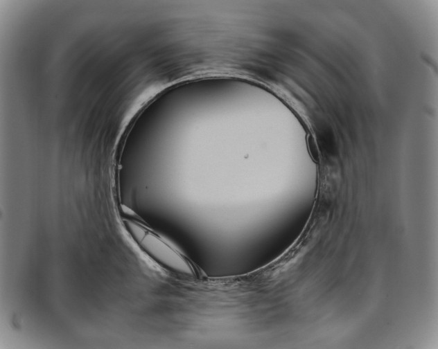 X0000096651005200802191238