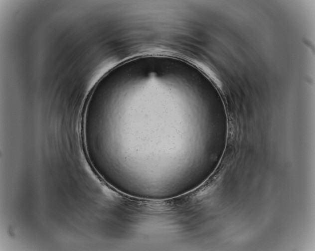 X0000096651007200802191238