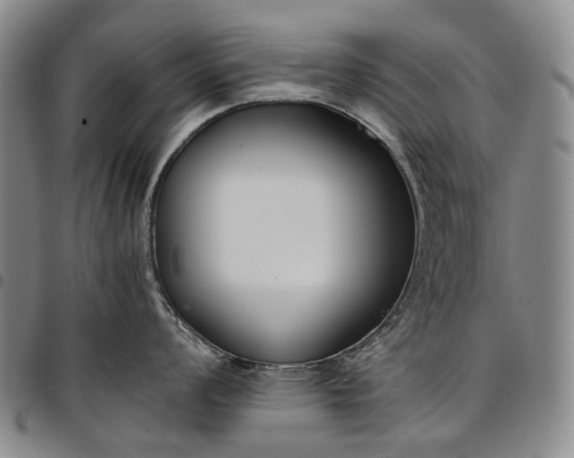 X0000096651008200802191238