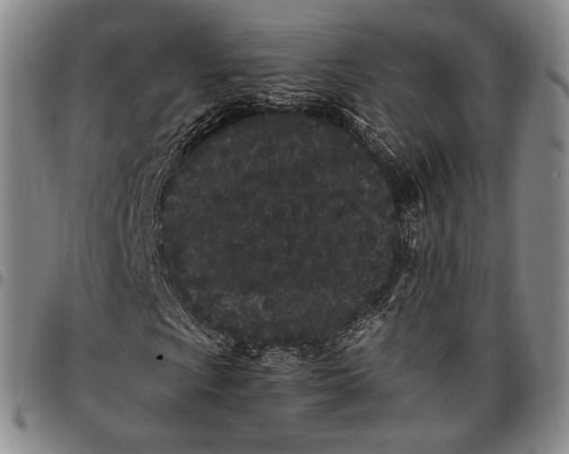 X0000096651009200802191237