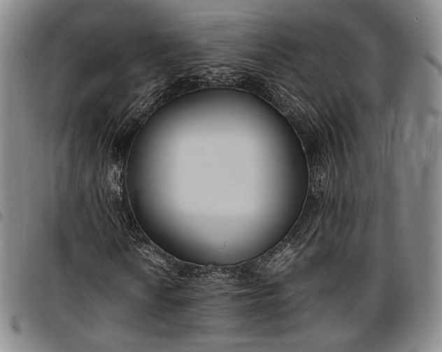 X0000096651010200802191237
