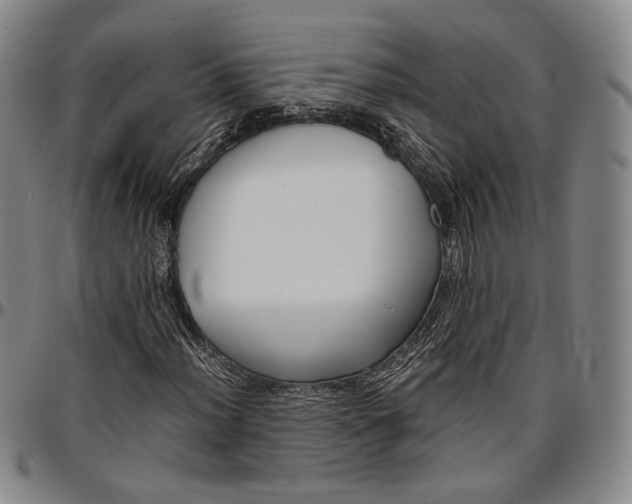 X0000096651012200802191237