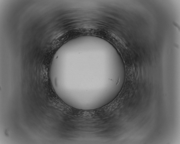 X0000096651013200802191237