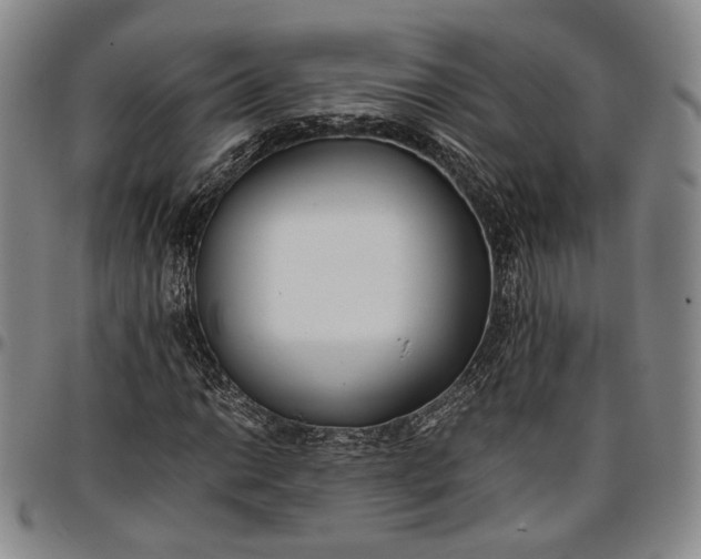 X0000096651014200802191237