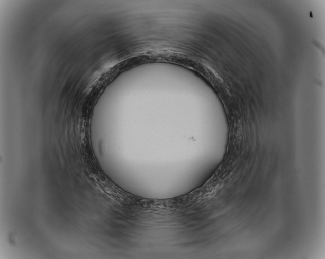 X0000096651016200802191237