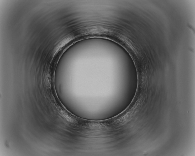 X0000096651018200802191237
