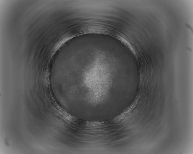 X0000096651019200802191237
