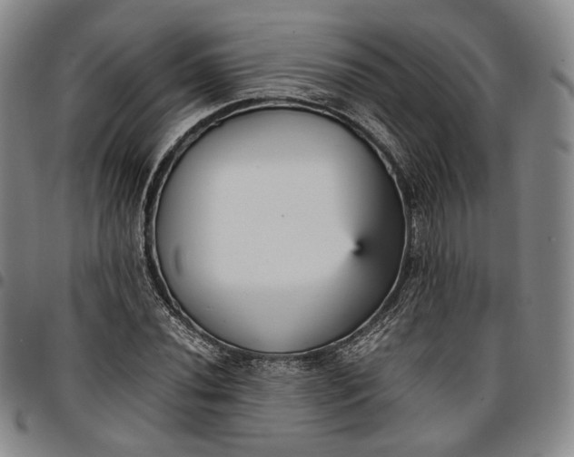 X0000096651020200802191237