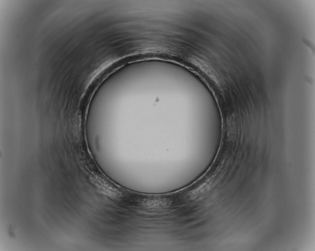 X0000096651021200802191237