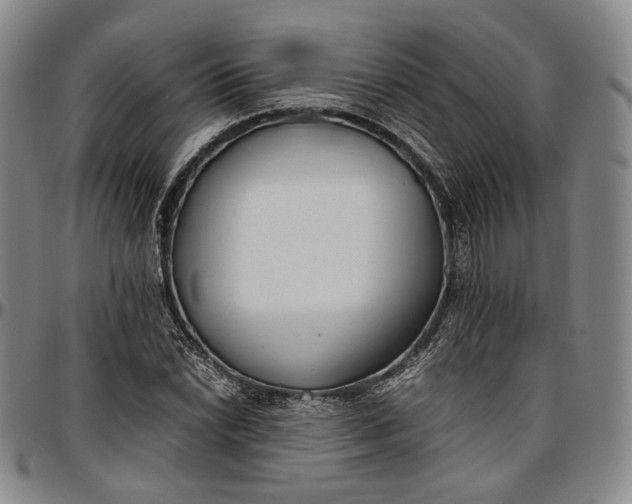 X0000096651022200802191237