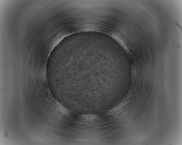 X0000096651023200802191237