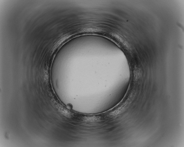 X0000096651025200802191238