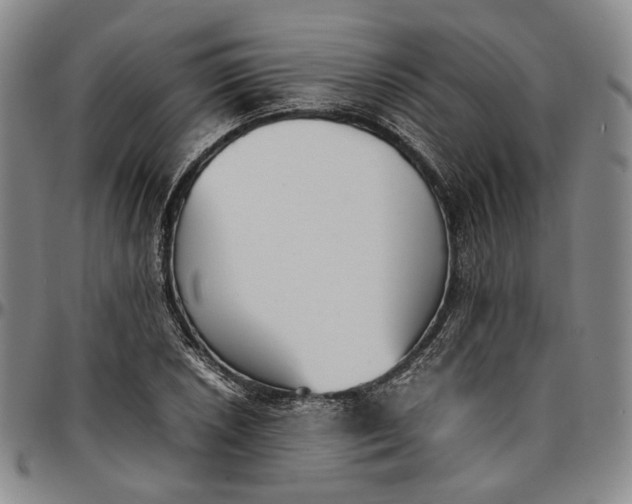 X0000096651026200802191238