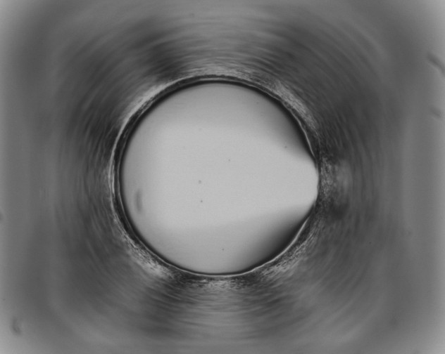 X0000096651028200802191238
