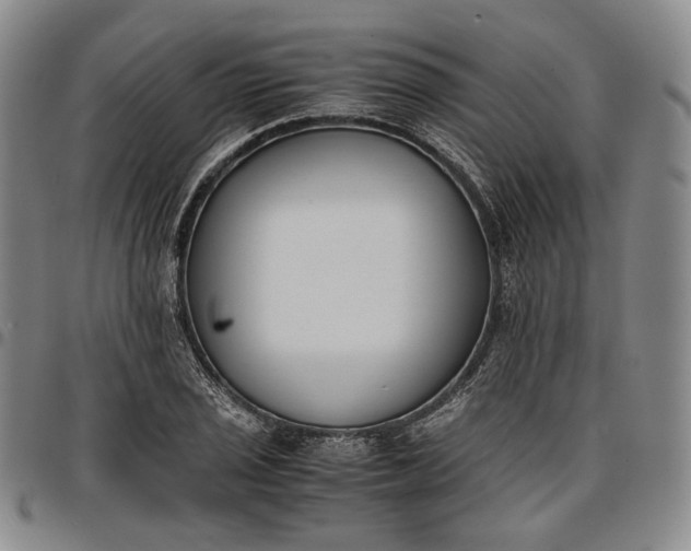 X0000096651029200802191238