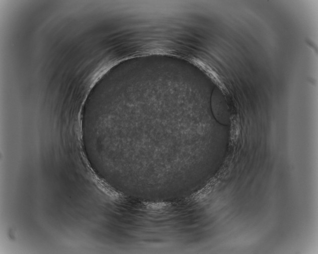 X0000096651031200802191238