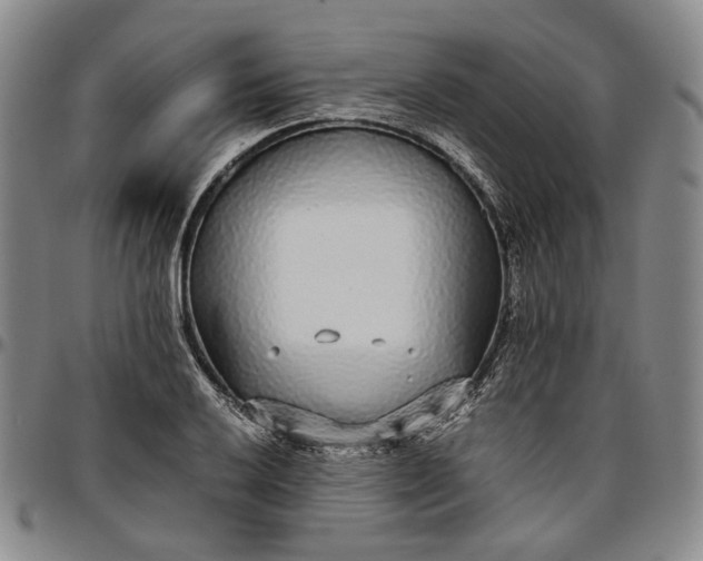 X0000096651032200802191238