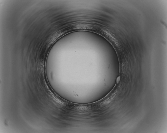 X0000096651033200802191238