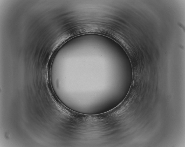 X0000096651034200802191238
