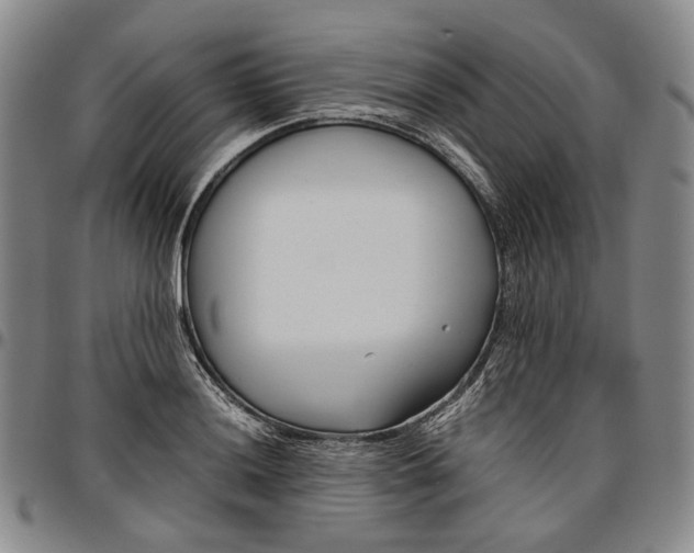 X0000096651036200802191238