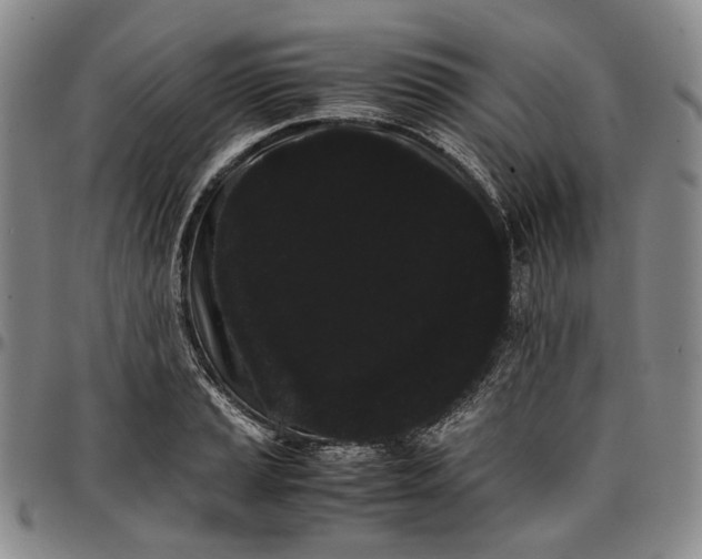 X0000096651037200802191238