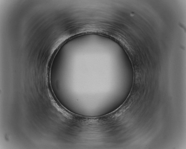 X0000096651038200802191238