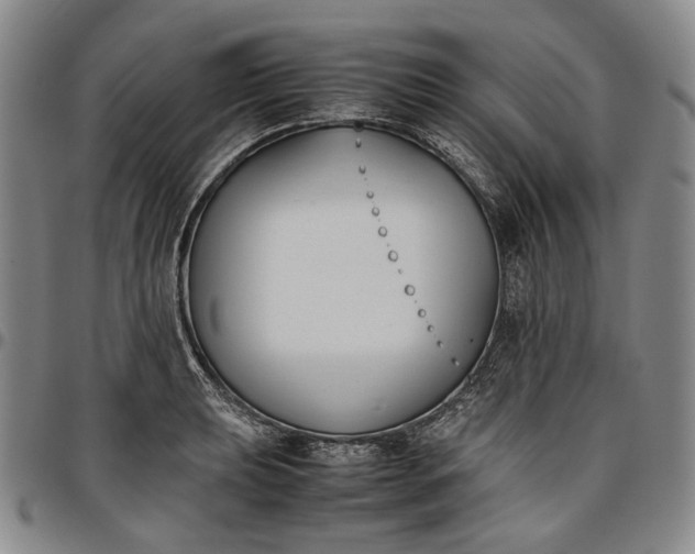 X0000096651039200802191238