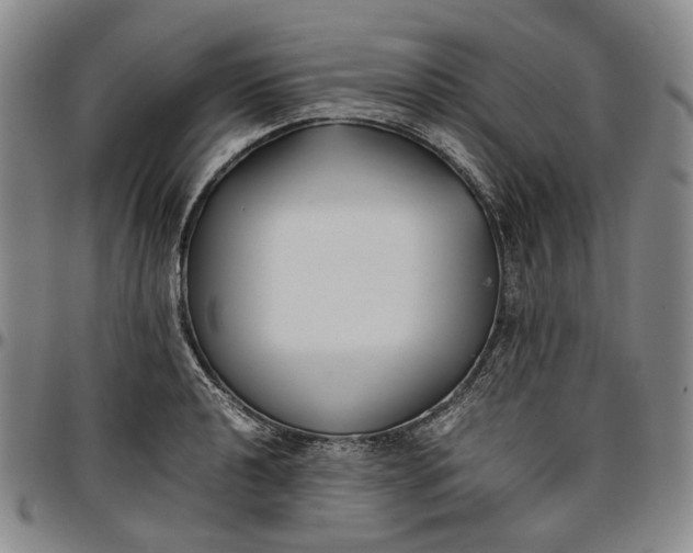 X0000096651040200802191238