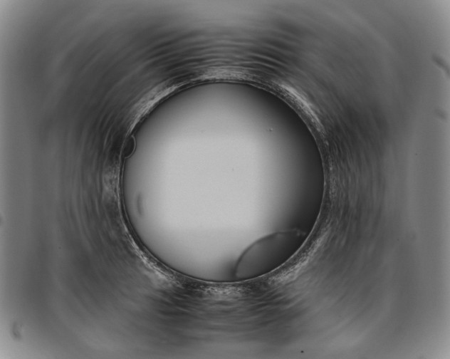 X0000096651041200802191238
