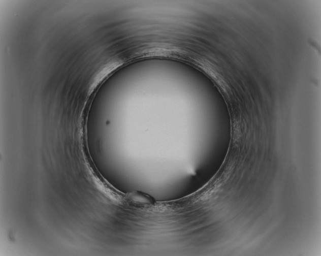 X0000096651042200802191238
