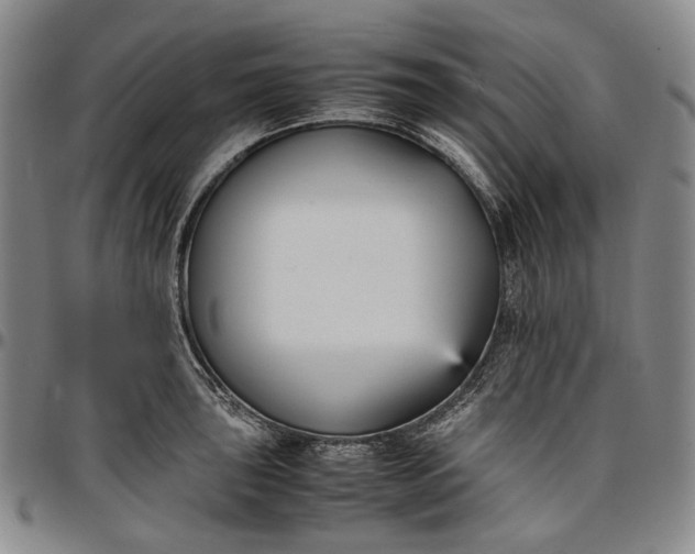 X0000096651043200802191238
