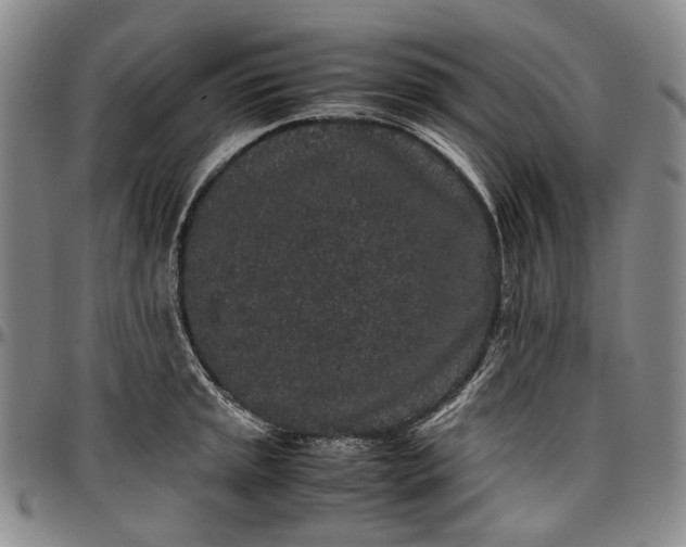 X0000096651045200802191238