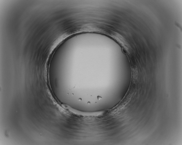 X0000096651046200802191238