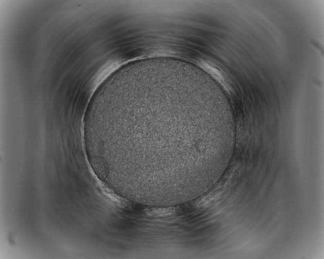 X0000096651047200802191238