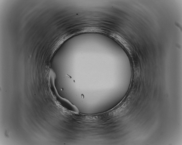 X0000096651049200802191238