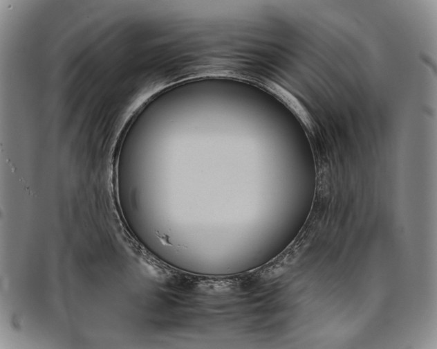 X0000096651051200802191238