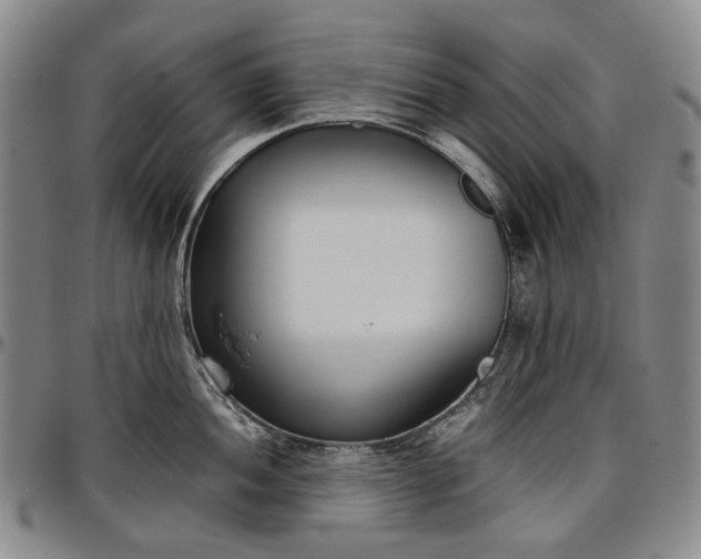 X0000096651052200802191238