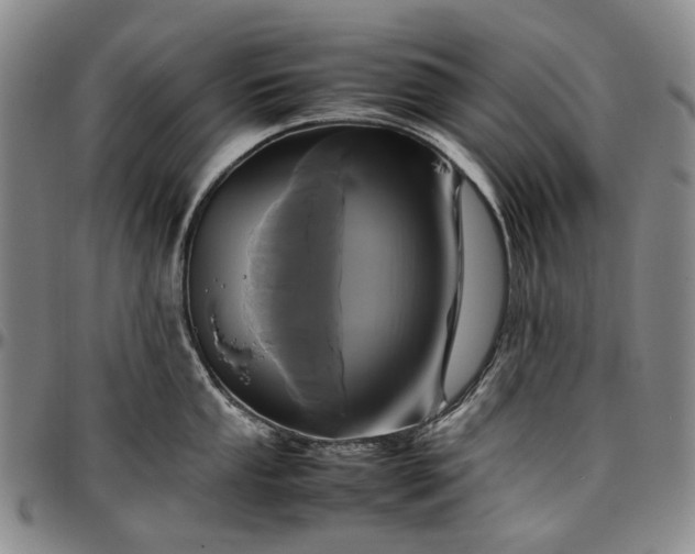 X0000096651053200802191238