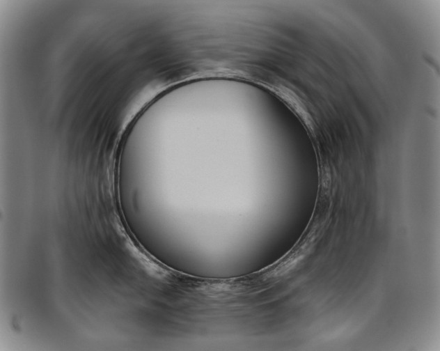 X0000096651054200802191238