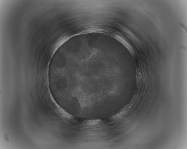 X0000096651055200802191238