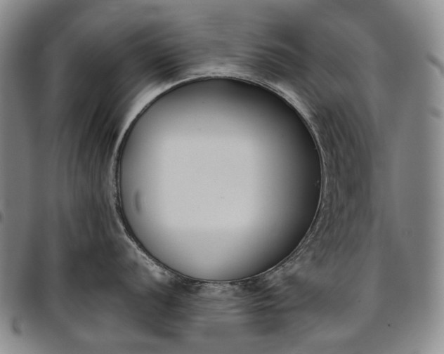 X0000096651056200802191238
