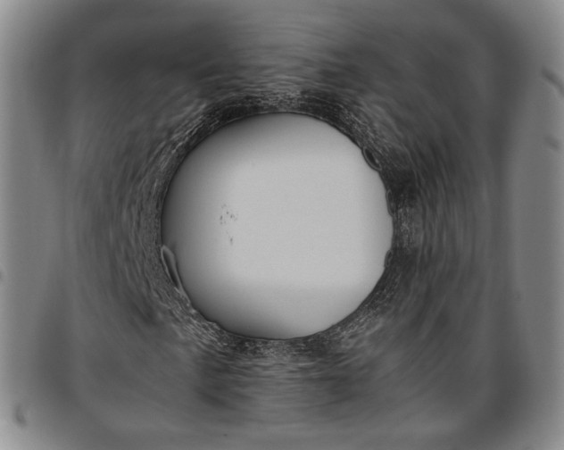 X0000096651057200802191237