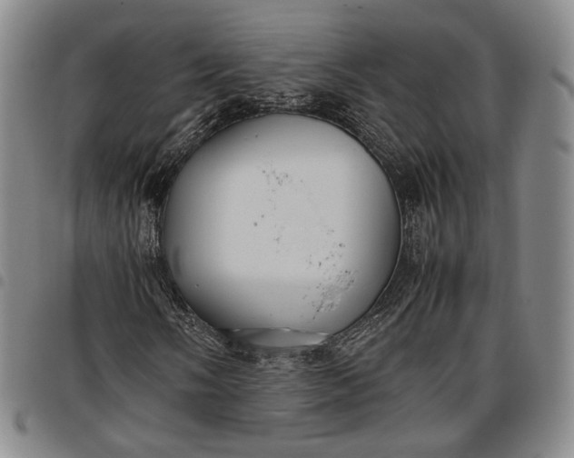 X0000096651058200802191237