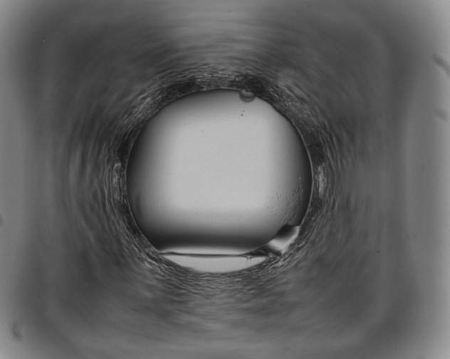 X0000096651059200802191237