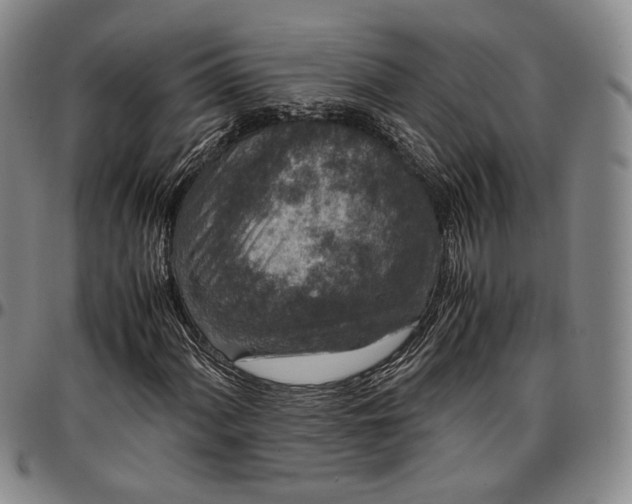 X0000096651060200802191237