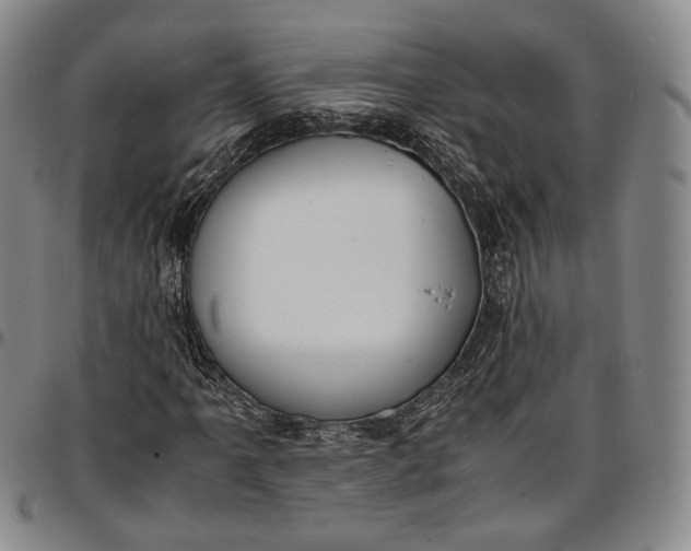 X0000096651061200802191237