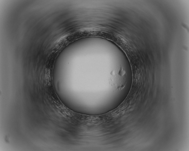 X0000096651062200802191237