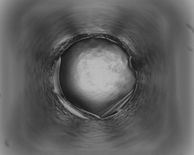 X0000096651063200802191237