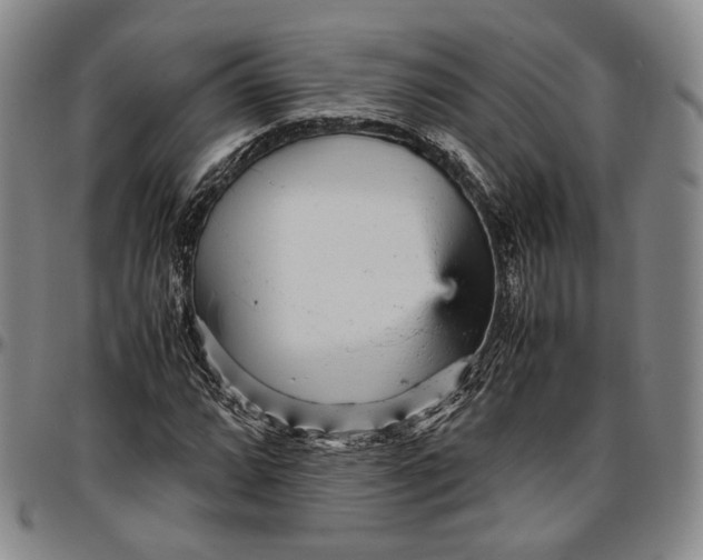 X0000096651064200802191237