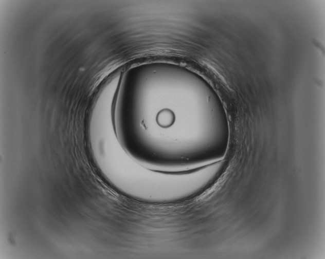 X0000096651065200802191237